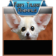 Funny Talking Animal Videos