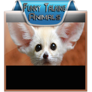 Talking Animal Videos Creation Service